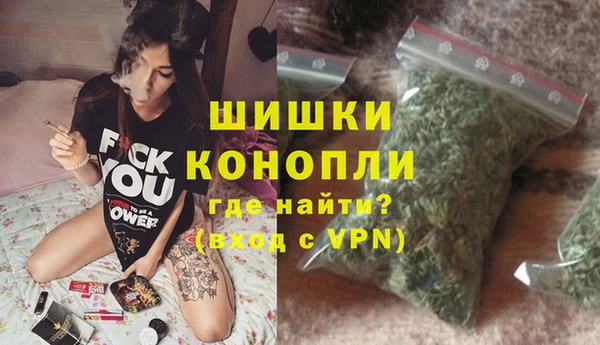 тгк Горнозаводск