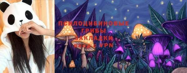 мдма Горняк