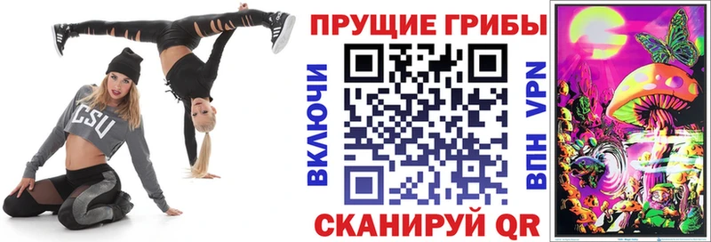 Галлюциногенные грибы Psilocybine cubensis  Купить закладки  Плёс 